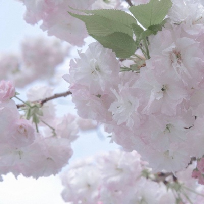 Furry色彩对比技巧FurryQQ群